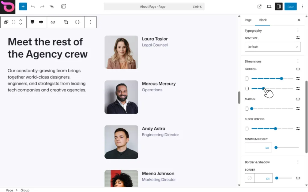 Ollie block edit controls