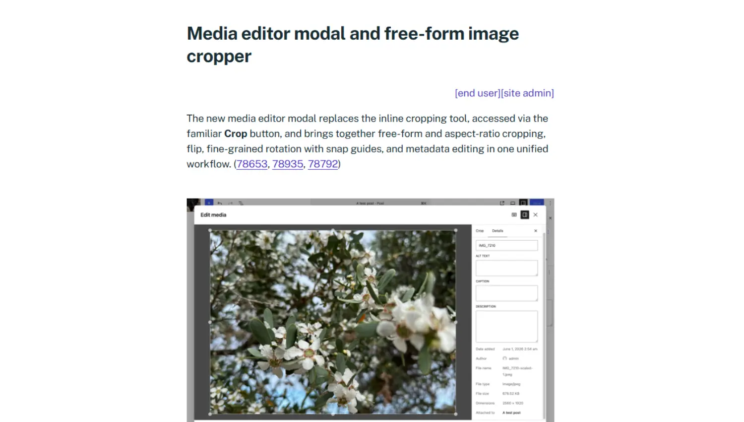 Media editor 7.1